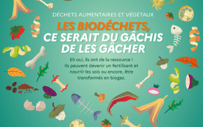 Les biodéchets : ce serait du gâchis de les gâcher !